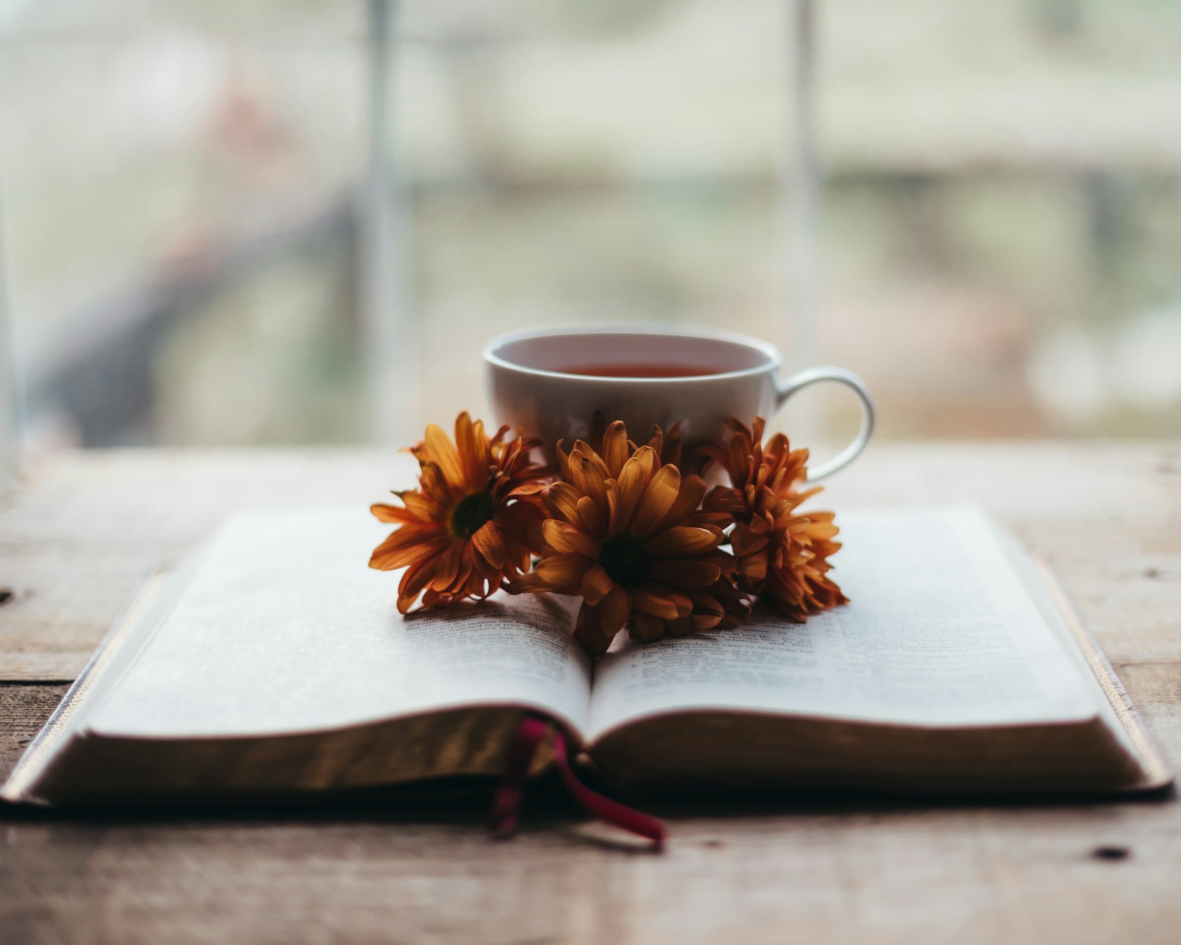 A cup of tea beside an open notebook in natural light
